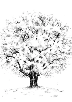 Page 8 of Sakura Gari Vol. 1