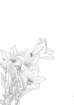 Page 146 of Hikari no Kimi no Saganaki Keikaku <Soushuuhen>