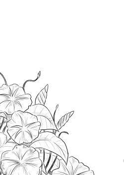 Page 64 of Hikari no Kimi no Saganaki Keikaku <Soushuuhen>