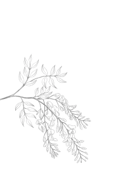 Page 86 of Hikari no Kimi no Saganaki Keikaku <Soushuuhen>