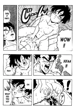 Page 21 of DOUJIN 2000 - Dragonball H