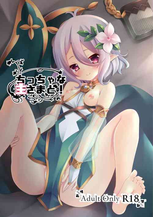 [Pettanko! (Koshiriro)] Chiccha na Aruji-sama to! (Princess Connect! Re:Dive) [Chinese] [影子van个人汉化] [Digital]
