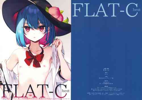 (Reitaisai 20) [Gekidoku Shoujo (ke-ta)] FLAT-Chest (Touhou Project)