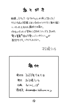 Page 17 of Mega Saimin