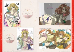 Page 11 of Tincle Twinkle Festival! Visual fan book "TINFESTAR!!"