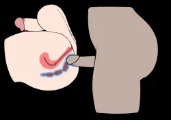 Page 155 of Futanari? What's that?