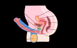 Page 92 of Futanari? What's that?