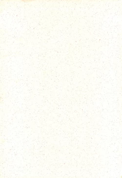 Page 2 of MAGICAL BACK DROP