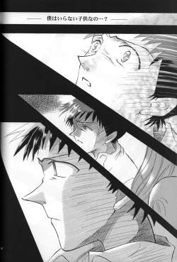 Page 27 of <Shinyaku> NEON GENESIS document R