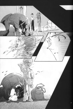 Page 28 of <Shinyaku> NEON GENESIS document R
