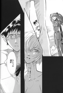 Page 55 of <Shinyaku> NEON GENESIS document R
