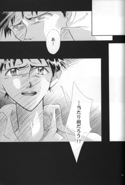 Page 62 of <Shinyaku> NEON GENESIS document R