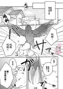 Page 47 of osuwari! Mate! Namecha dame! ! Zen kōtei05｜坐下！等待！那个不能舔！！被全肯定系小狗猛烈求爱~01-05话