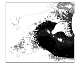 Page 8 of 19kome -【支援サイト】壁（棚）尻まとめ＋