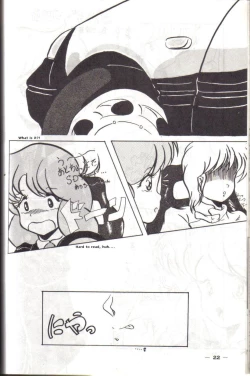 Page 21 of YD-1