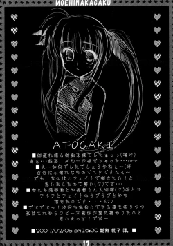 Page 16 of St. Lily's Day