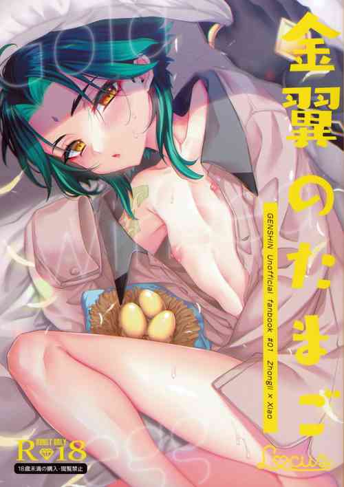 (GOOD COMIC CITY 27) [Locus (Kisaki)] Kimu Tsubasa no Tamago (Genshin Impact) [English]