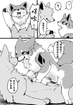 Page 3 of Ohanami Anaba Spot | 秘密景点