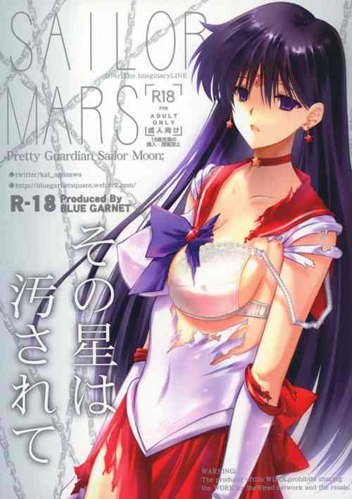 (C100) [Blue Garnet (Serizawa Katsumi)] Sono Hoshi Ha Yogosarete (Bishoujo Senshi Sailor Moon) [Chinese] [不咕鸟汉化]