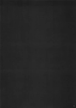 Page 17 of Southern Cross!