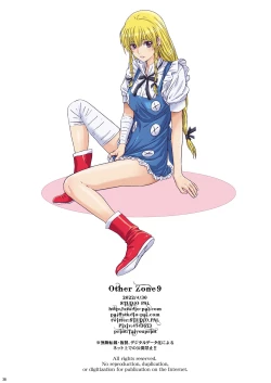 Page 335 of Other Zone 106