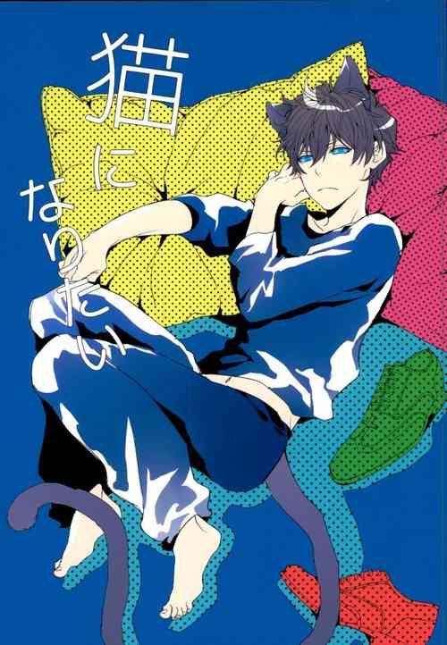 [Phenomenon (Otsu)] Neko ni Naritai (Kekkai Sensen)