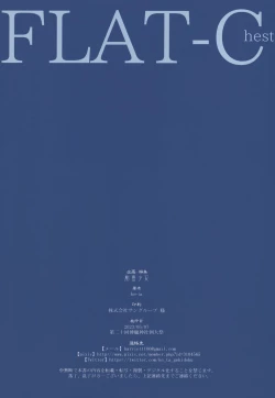 Page 10 of FLAT-Chest
