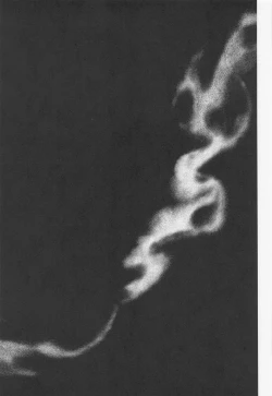 Page 24 of Tsumagushi