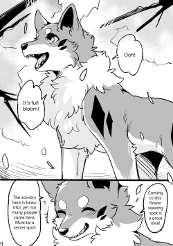 Page 1 of Ohanami Anaba Spot | Secret Flower Viewing Spot