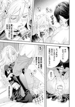 Page 18 of Shuujin wa Hiroware Elf o Midareotoshitai