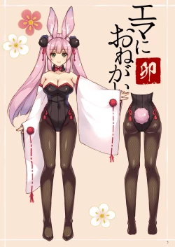 Page 3 of Ema ni Onegai Usagi