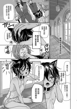 Page 8 of Boku, Isekai de Nekomimi Seidorei to Shite Tonari no Kuni made Tabi o Shitemasu.