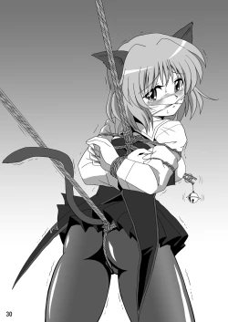 Page 31 of Strike Air