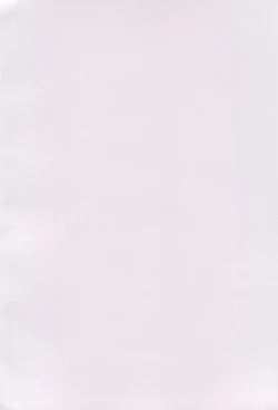 Page 4 of Kodomo datte Sounyuu shitai!