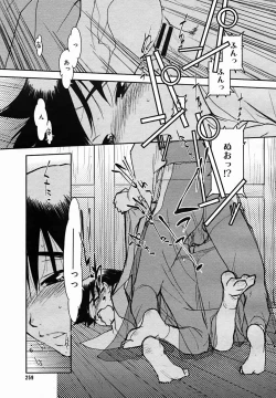 Page 257 of COMIC MEGAPLUS Vol.25