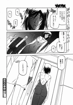 Page 316 of COMIC MEGAPLUS Vol.25