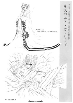 Page 51 of Seinarukana - offical ArtBook