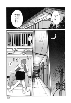 Page 205 of Hisae Haitoku Nikki Kanzenban Ge