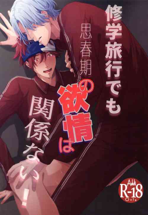 [A*NIBA (Inaba)] Shūgakuryokō demo shishunki no yokujō wa kankeinai! (SK8 The Infinity)