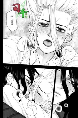 Page 25 of Sharyō Tenken no Tame Teisha Itashimasu - Dr. Stone dj