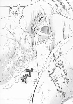 Page 24 of Stella-san desutte ne!