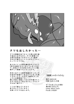 Page 21 of Zangyou Shake Beit 3