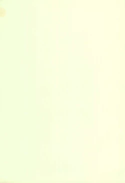 Page 15 of Mijuku!! Hanjuku!! Loli Loli Mori!! 6.5