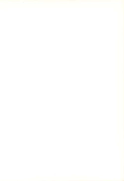 Page 2 of Gokuraku Tokkyuu CAMERON