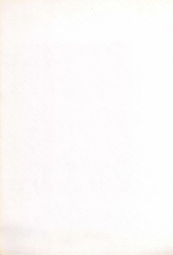 Page 3 of Gokuraku Tokkyuu CAMERON