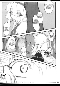 Page 8 of Touhou Shoujo SaiinAlice