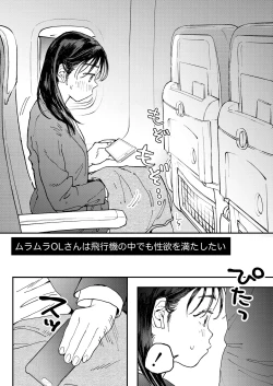 Page 3 of Muramura OL-san wa Hikouki no Naka demo Seiyoku o Mitashitai