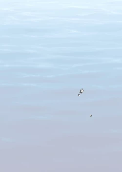 Page 44 of Shounen ga Netorareru Hanashi