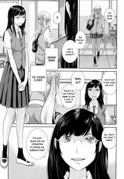 Page 185 of Seifuku Shijou Shugi| Uniforms Supremacy