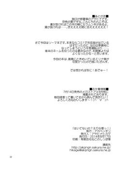 Page 21 of Haitenaino? Erina-sama !